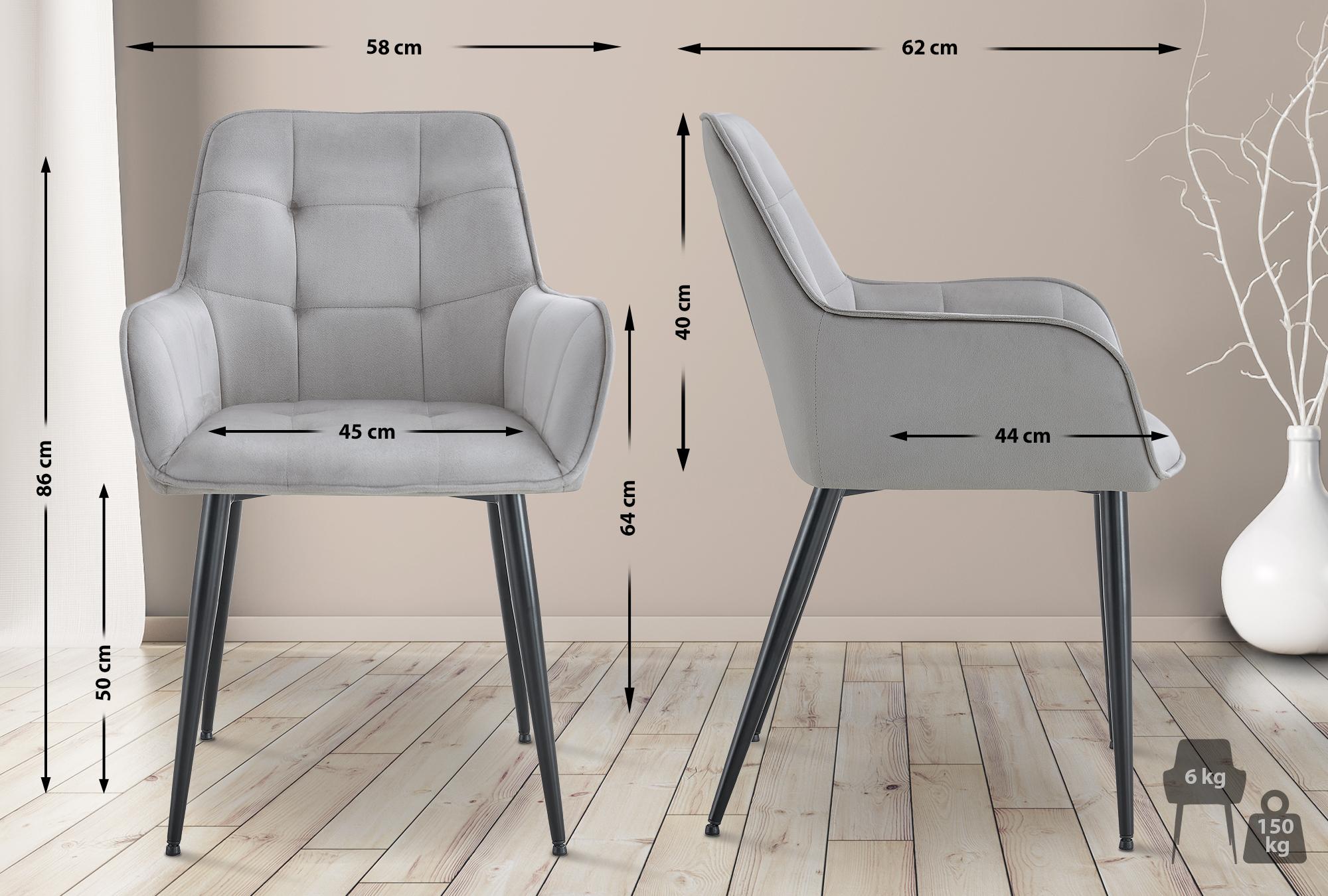 2er Set Esszimmerstuhl Ferndale Samt, hellgrau