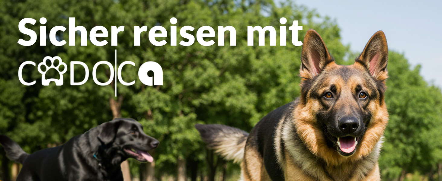 Hundebox faltbar M 60x42x44cm Grau