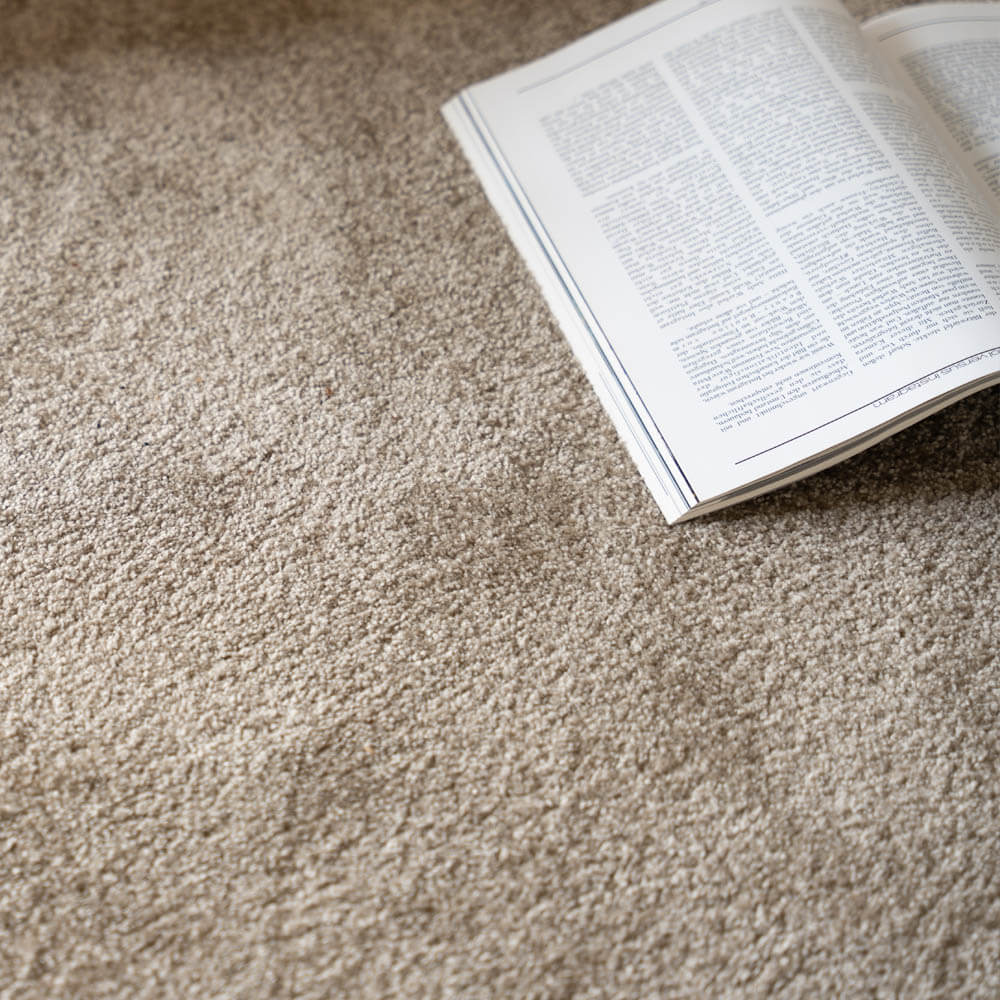 Kurzflor Teppich FOFI - 200 x 140 cm Creme