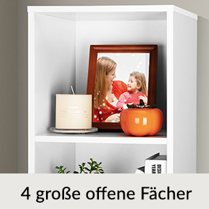 Bücherregal Skylar Weiß 106x30x30cm