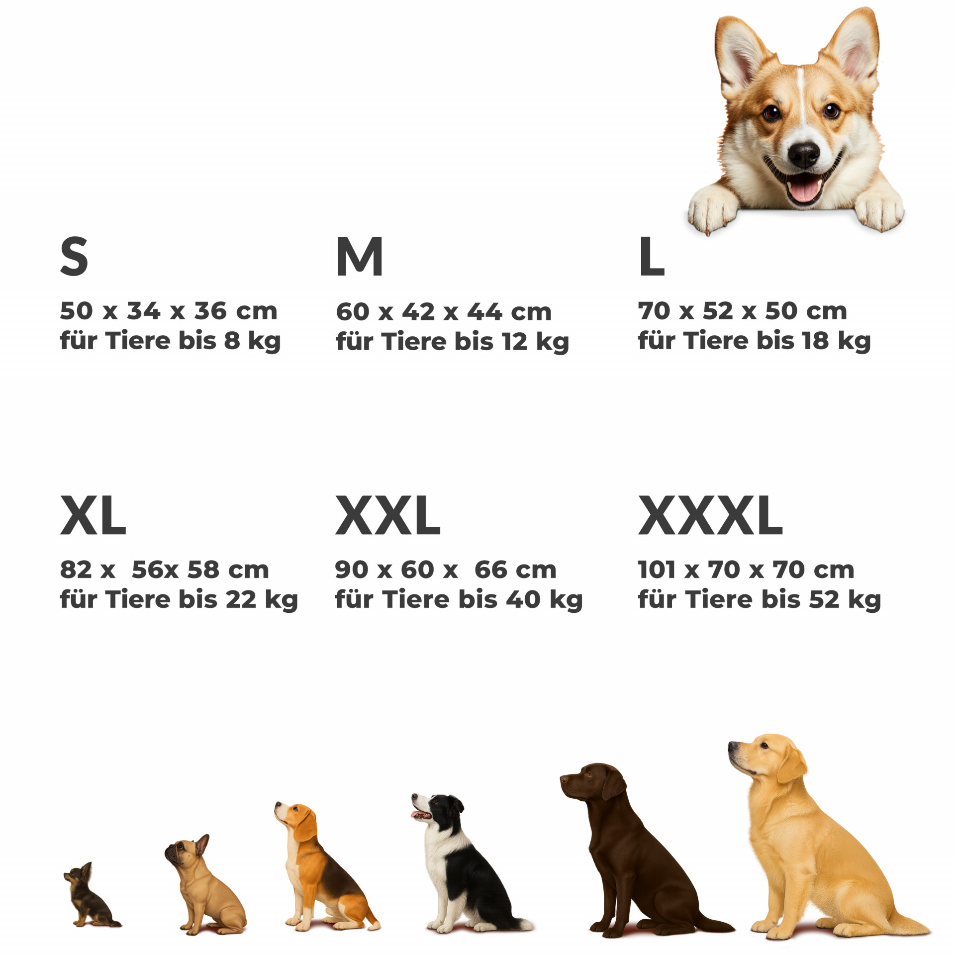 Hundebox faltbar XL 82x58x58cm Blau