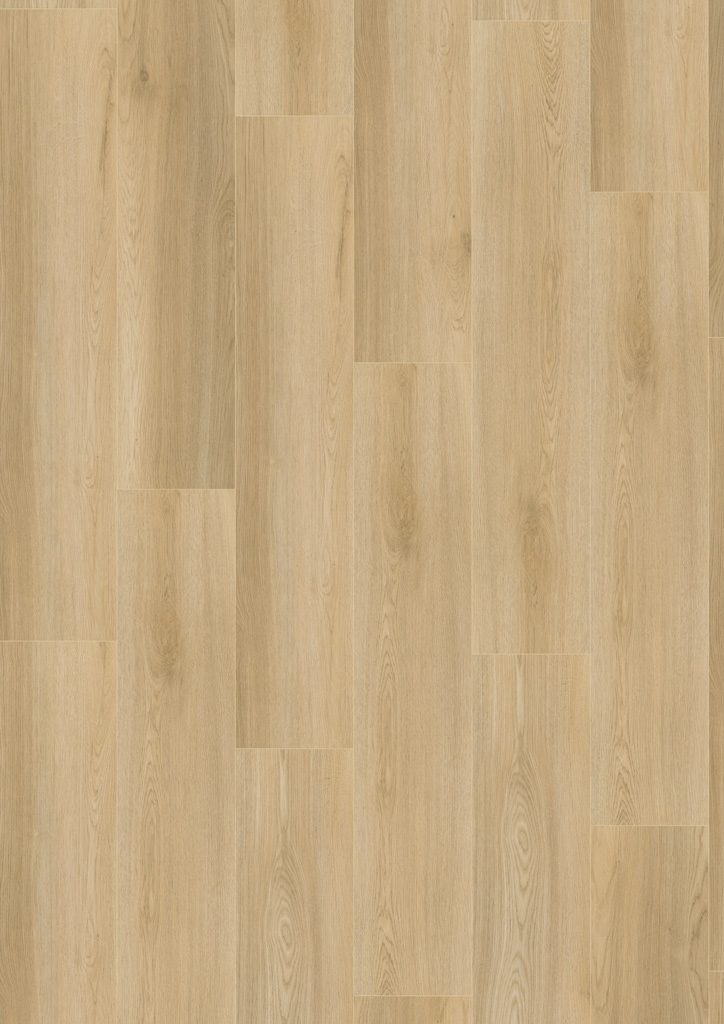 Click-Vinyl CHECK One 2472 Morbach Eiche inkl. Trittschall Standard Breit