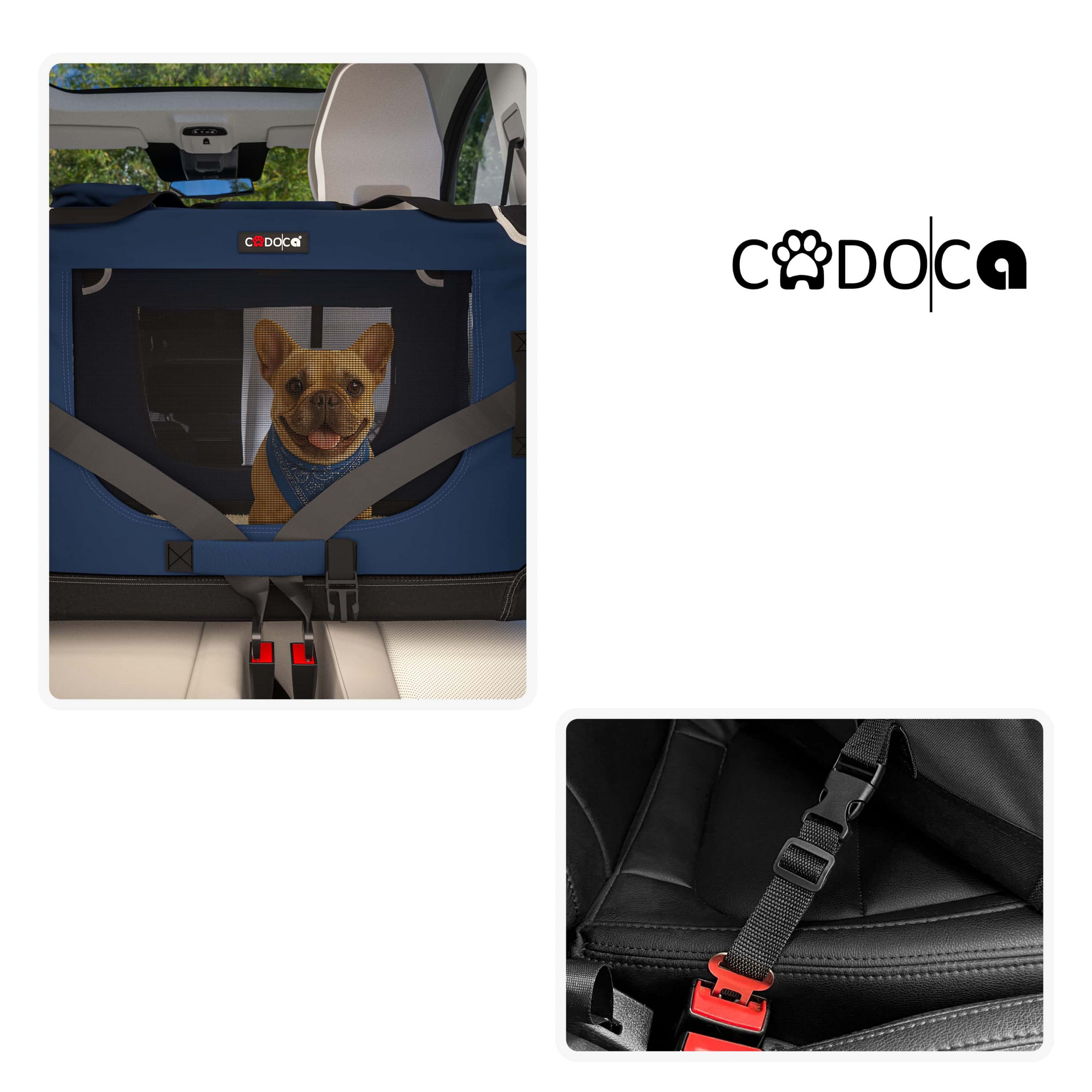 Hundebox faltbar XXXL 101x70x70cm Blau