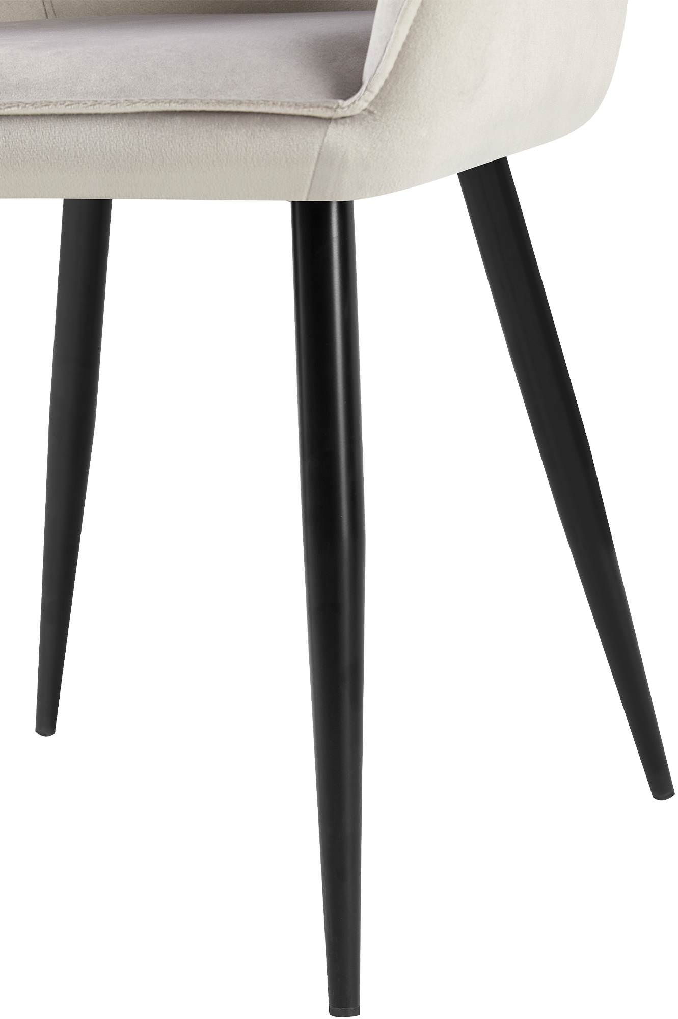 2er Set Esszimmerstuhl Boise Samt, grau