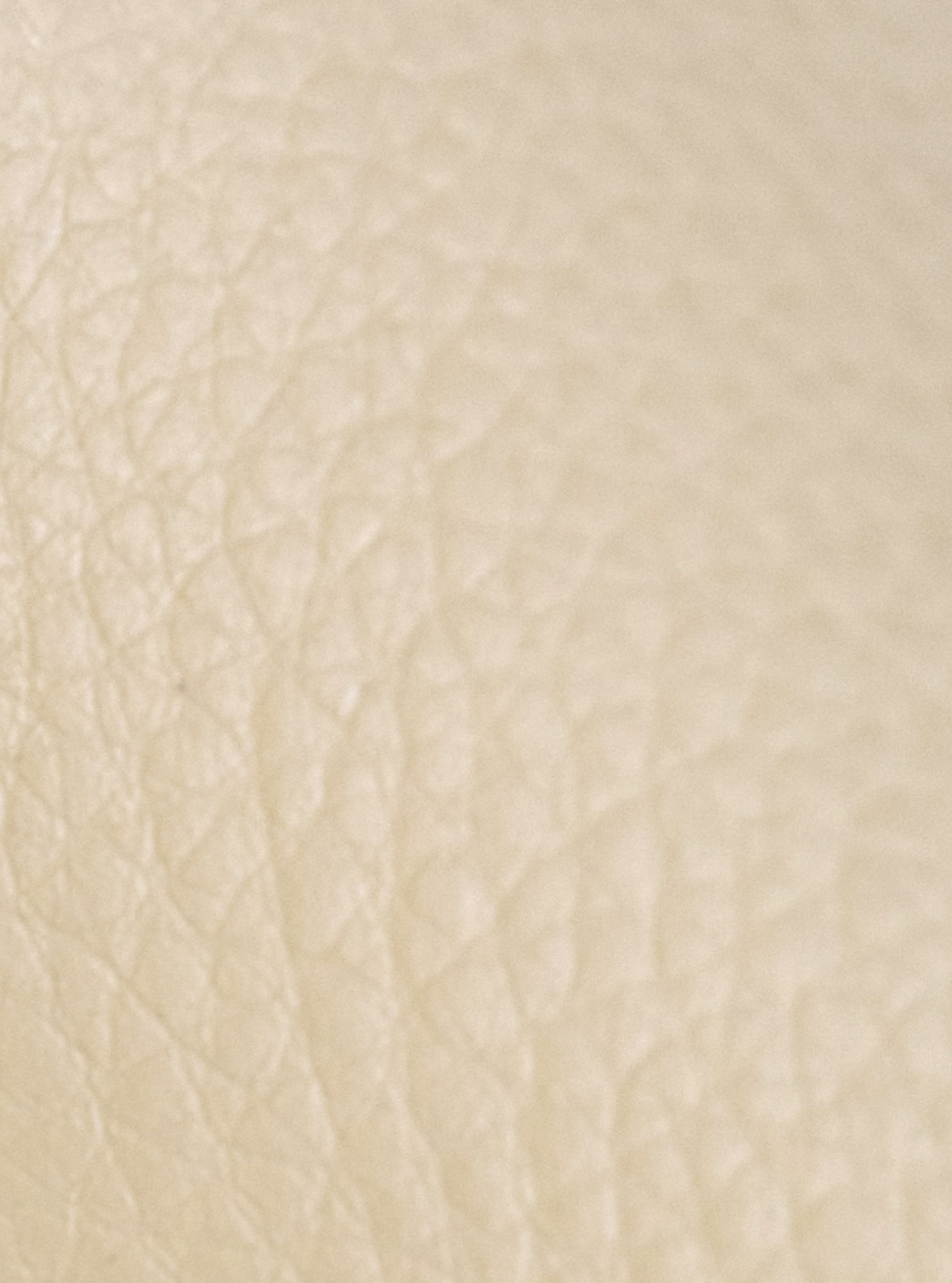 Esszimmerstuhl Foley Kunstleder Eiche, creme