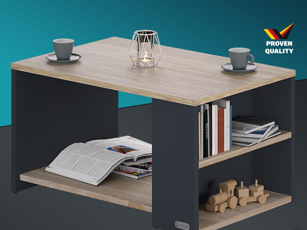 Couchtisch Santa Cruz Holz/Grau 90x60x50cm