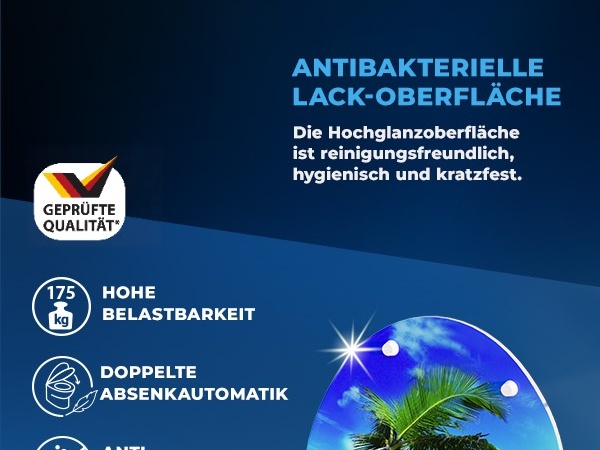 Toilettensitz Strand mit Absenkautomatik