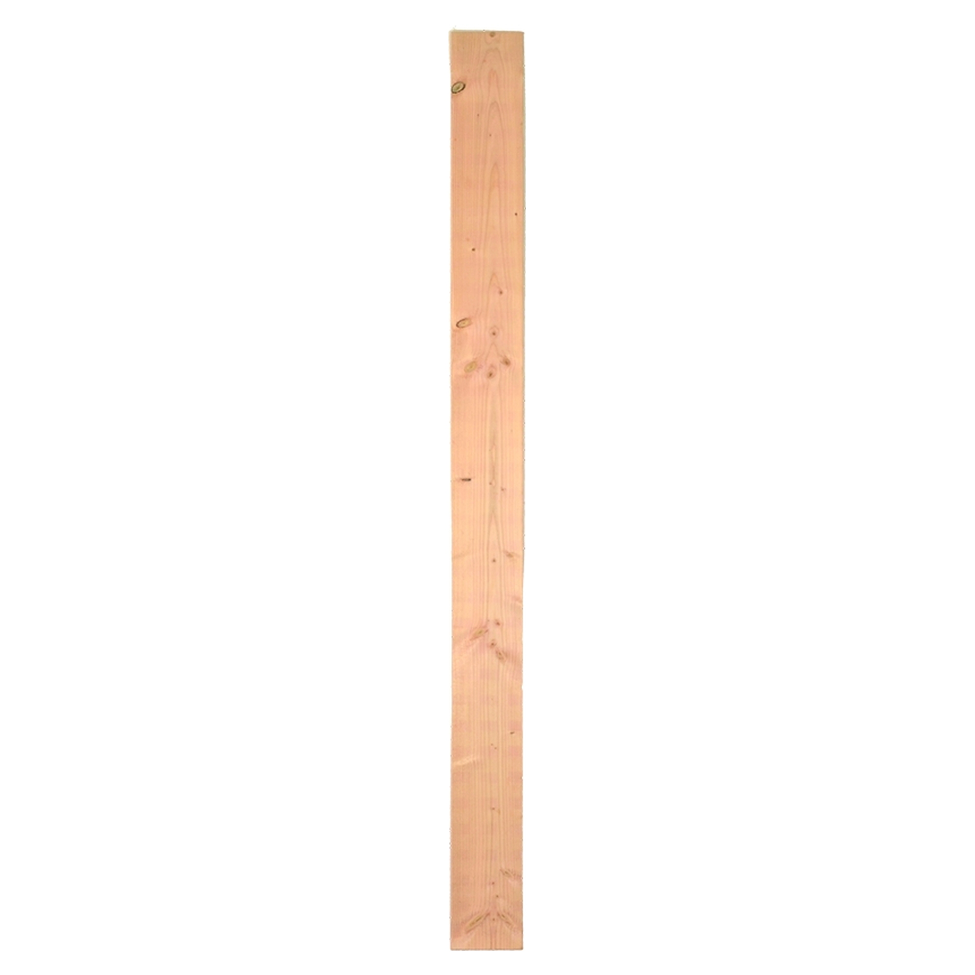 AALBORG-Serie, Lärche Füllbrett, 14 x 180 cm, 16 mm stark