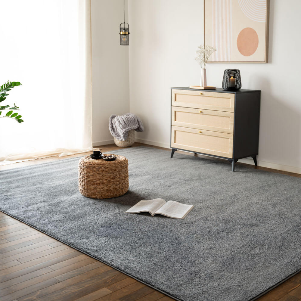 Kurzflor Teppich FOFI - 230 x 160 cm Grau