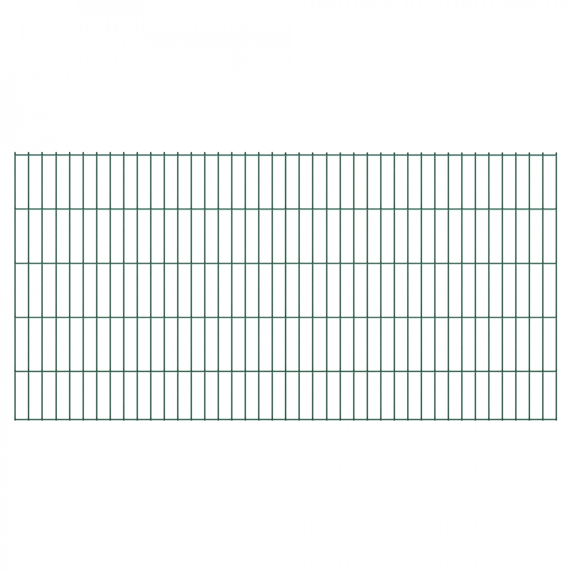 BASIC Doppelstabmatte grün, 200 x 100 cm, RAL 6005,, Stäbe 6/5/6, MW 50/200 mm