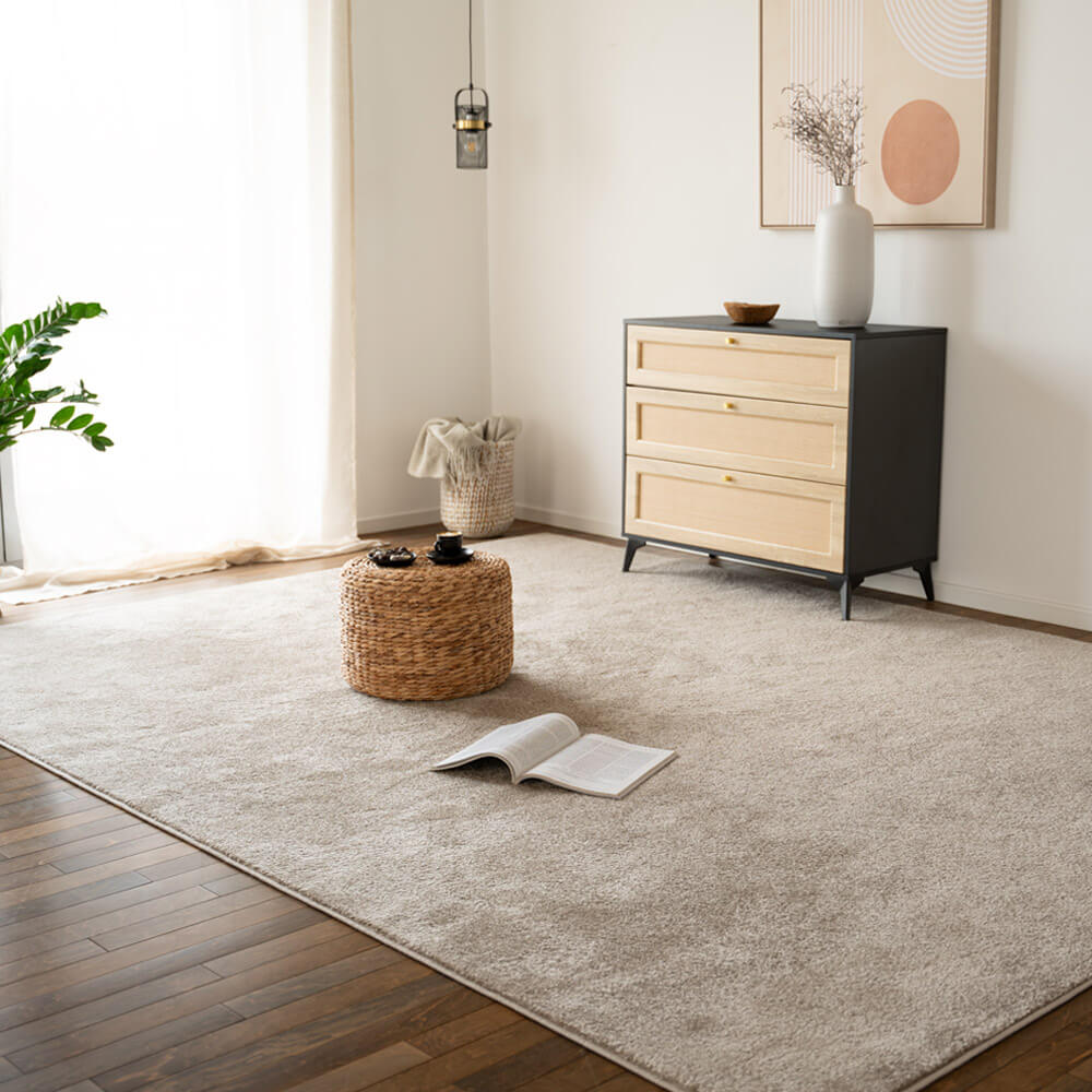 Kurzflor Teppich FOFI - 150 x 80 cm Creme