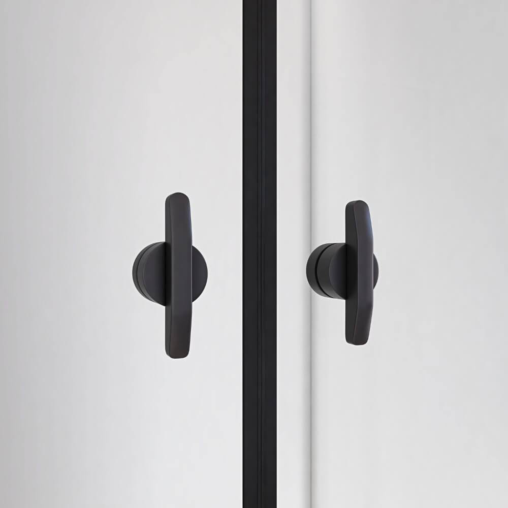 Pendeltür Klarglas LAVEA - 100 x 195 cm Schwarz
