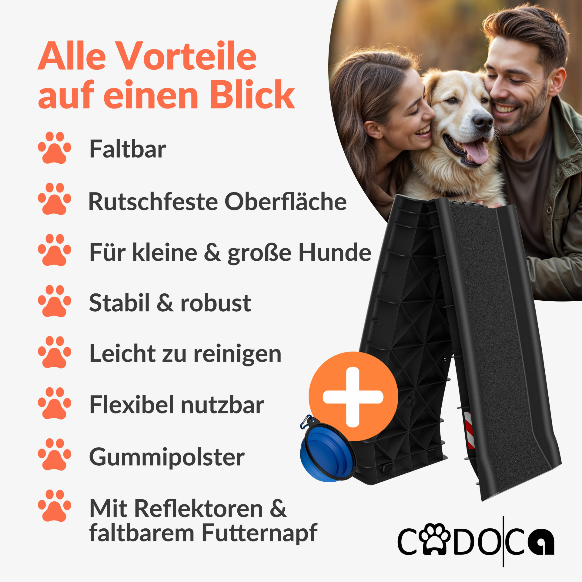 Hunderampe Auto Schwarz 156x40x16cm klappbar