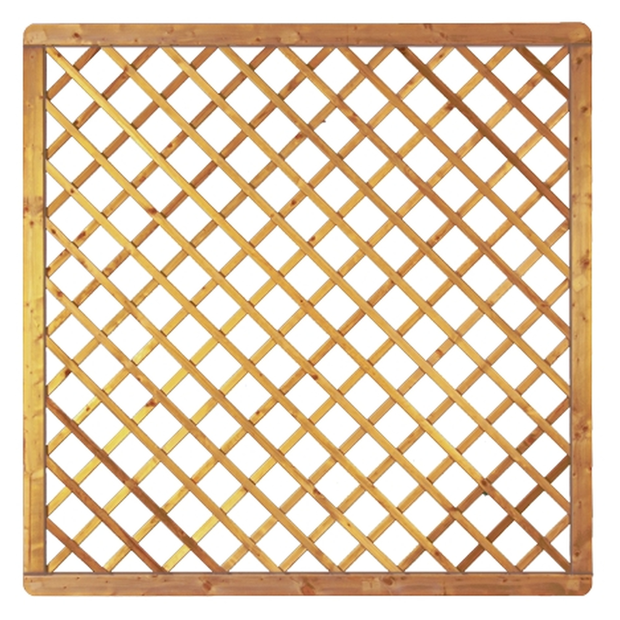 Avantgarde-Serie Diagonal-Rankgitter, 180 x 180 cm, MW 10 x 10, kdi-grün, Rahmen 45/68 mm, Gitter geklammert