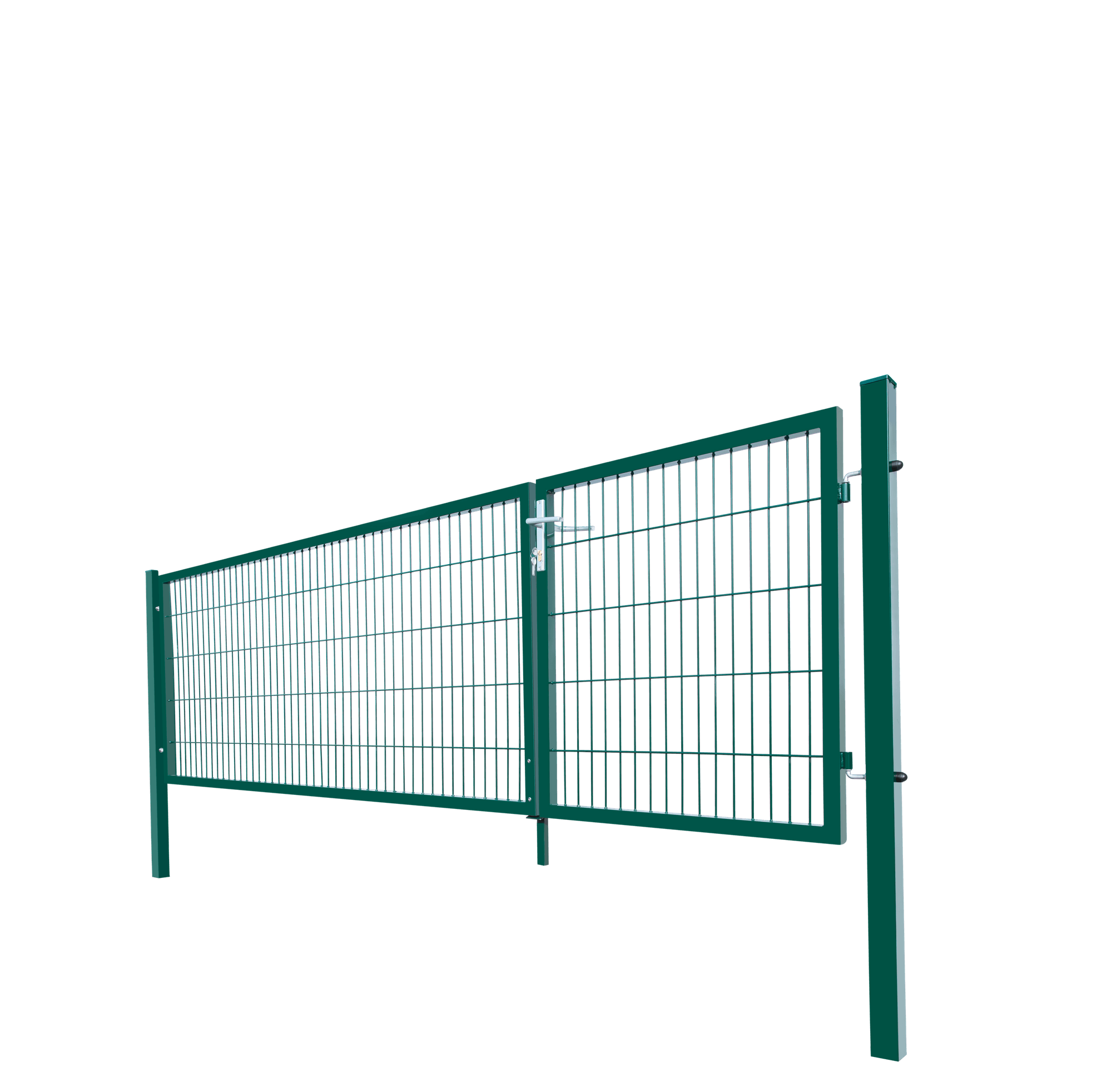 Doppelflügel Gartentor ADITUS - 160 x 350 cm Grün