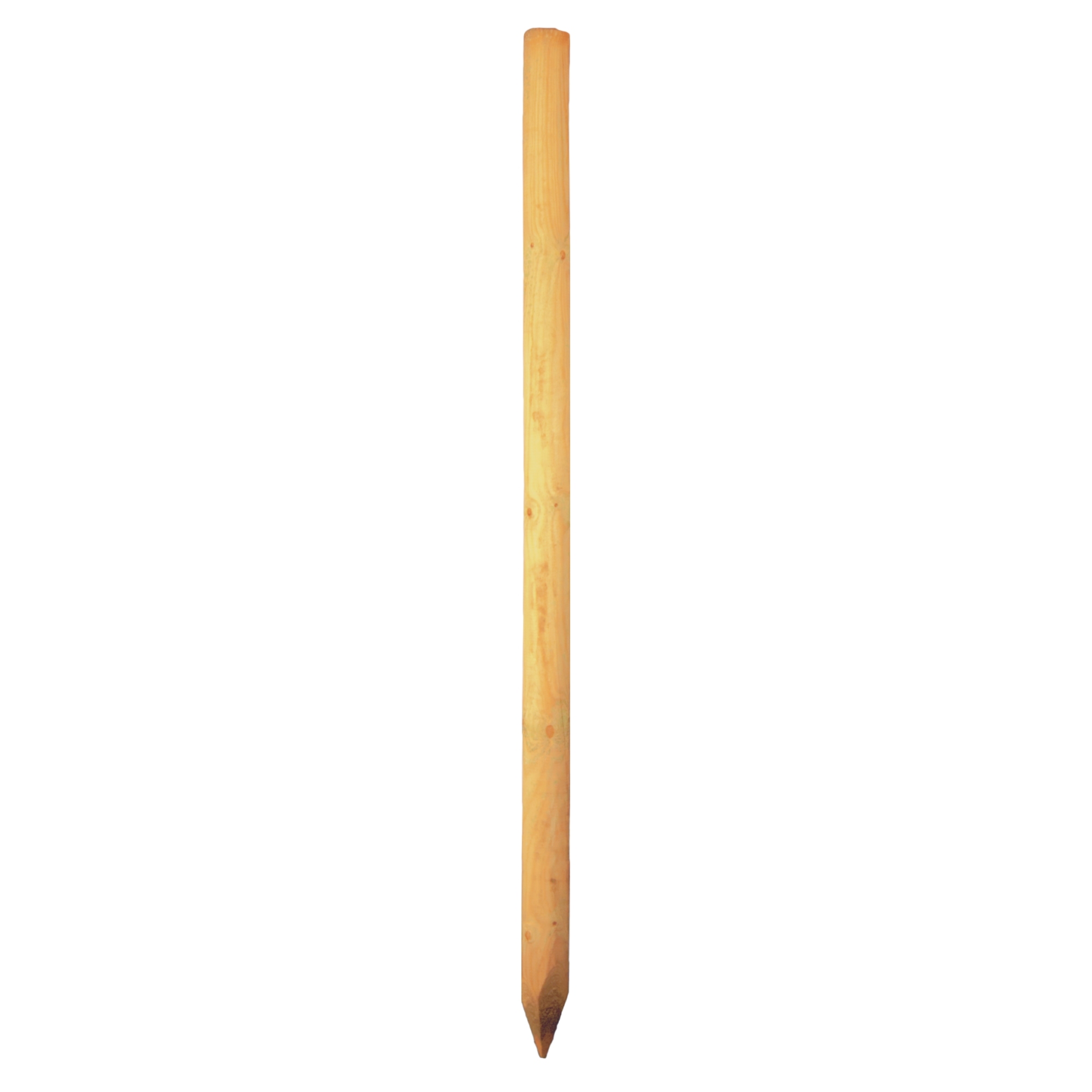 Baumpfahl 8 x 250 cm, gefräst, gefast, gespitzt, kdi-grün
