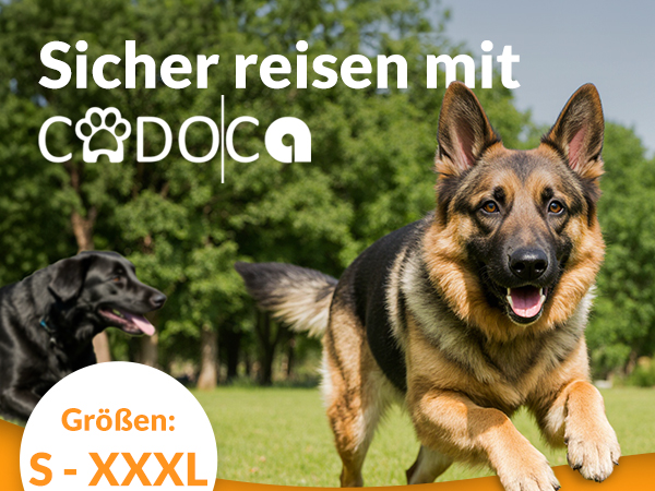 Hundebox faltbar M 60x42x44cm Anthrazit