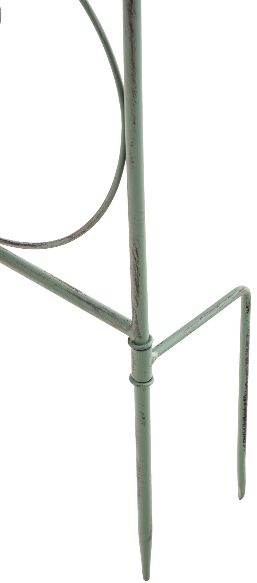 Rankgitter Mandevilla, antik-grün