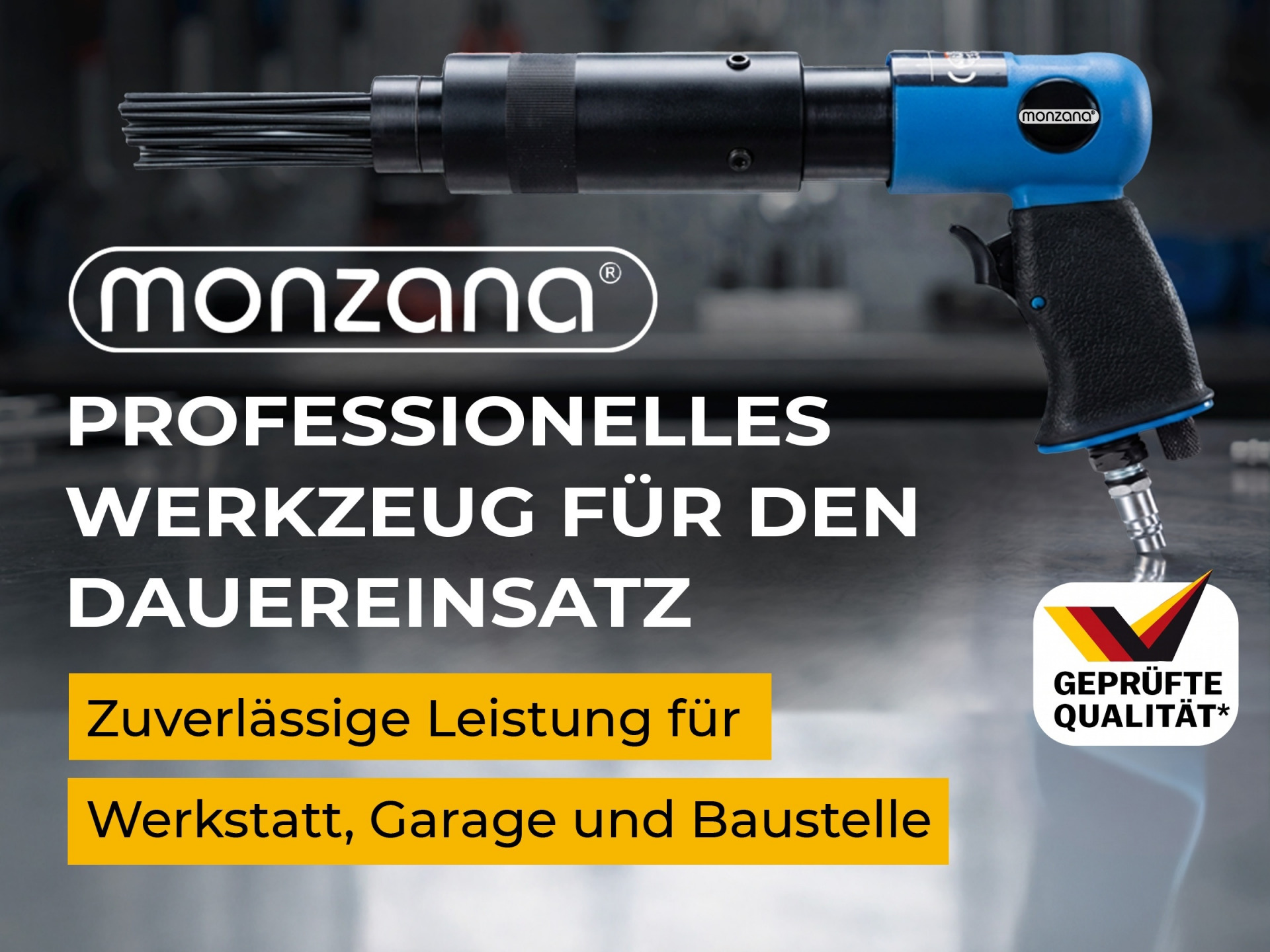 Druckluft Nadelentroster inkl Ersatzkopf