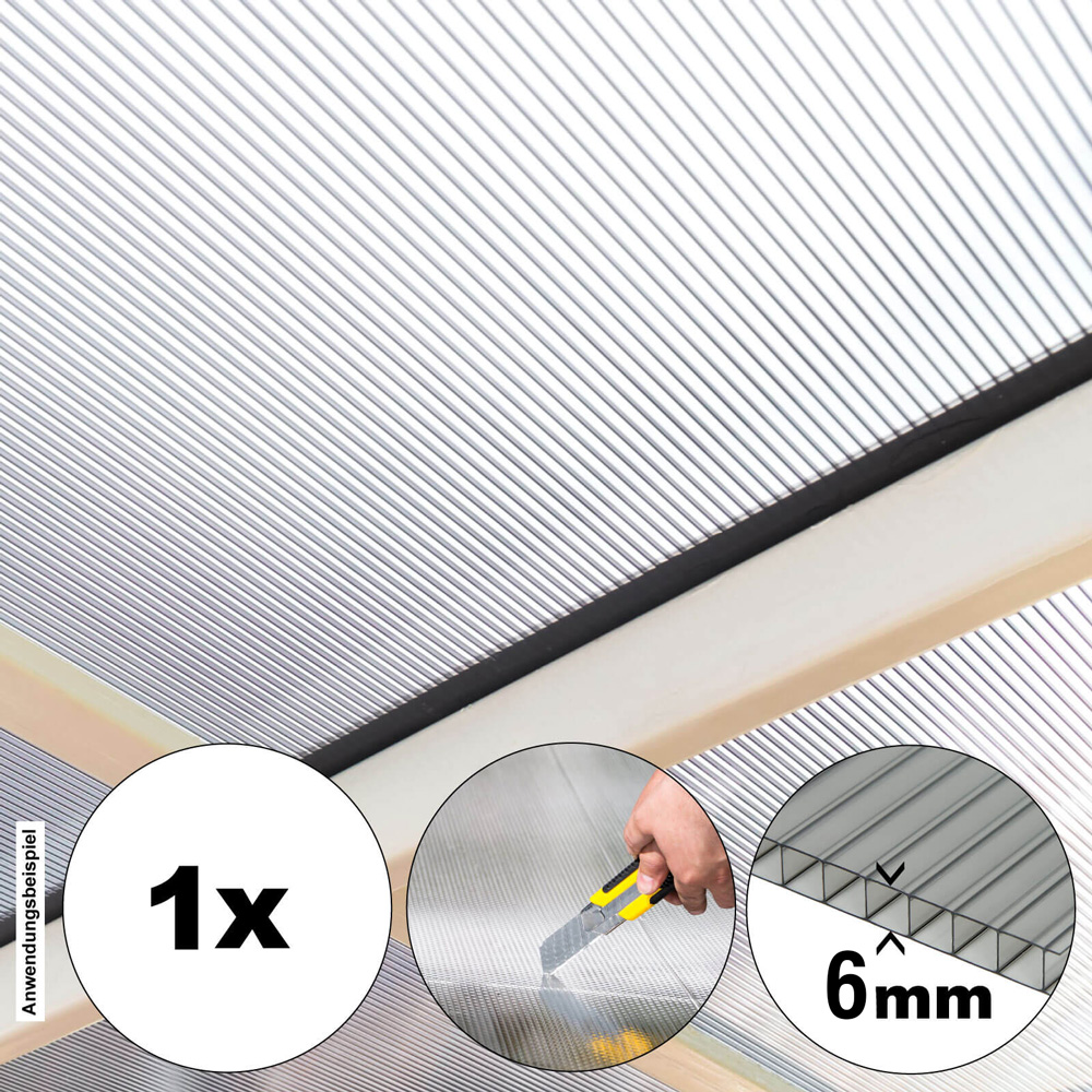 Polycarbonat Doppelstegplatte PALOMA - 299 x 60 cm