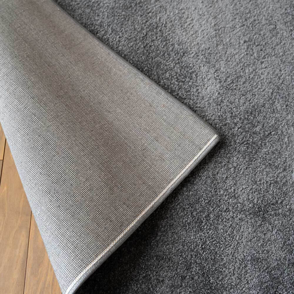 Kurzflor Teppich FOFI - 180 x 120 cm Grau