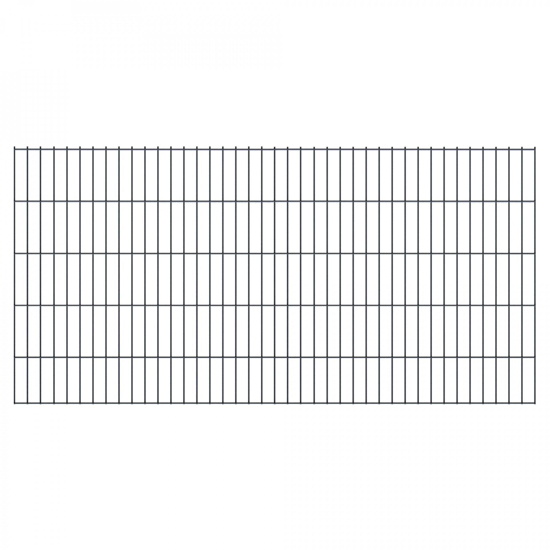 BASIC Doppelstabmatte ANTHRAZIT, 200 x 100 cm, RAL 7016, Stäbe 6/5/6, MW 50/200 mm