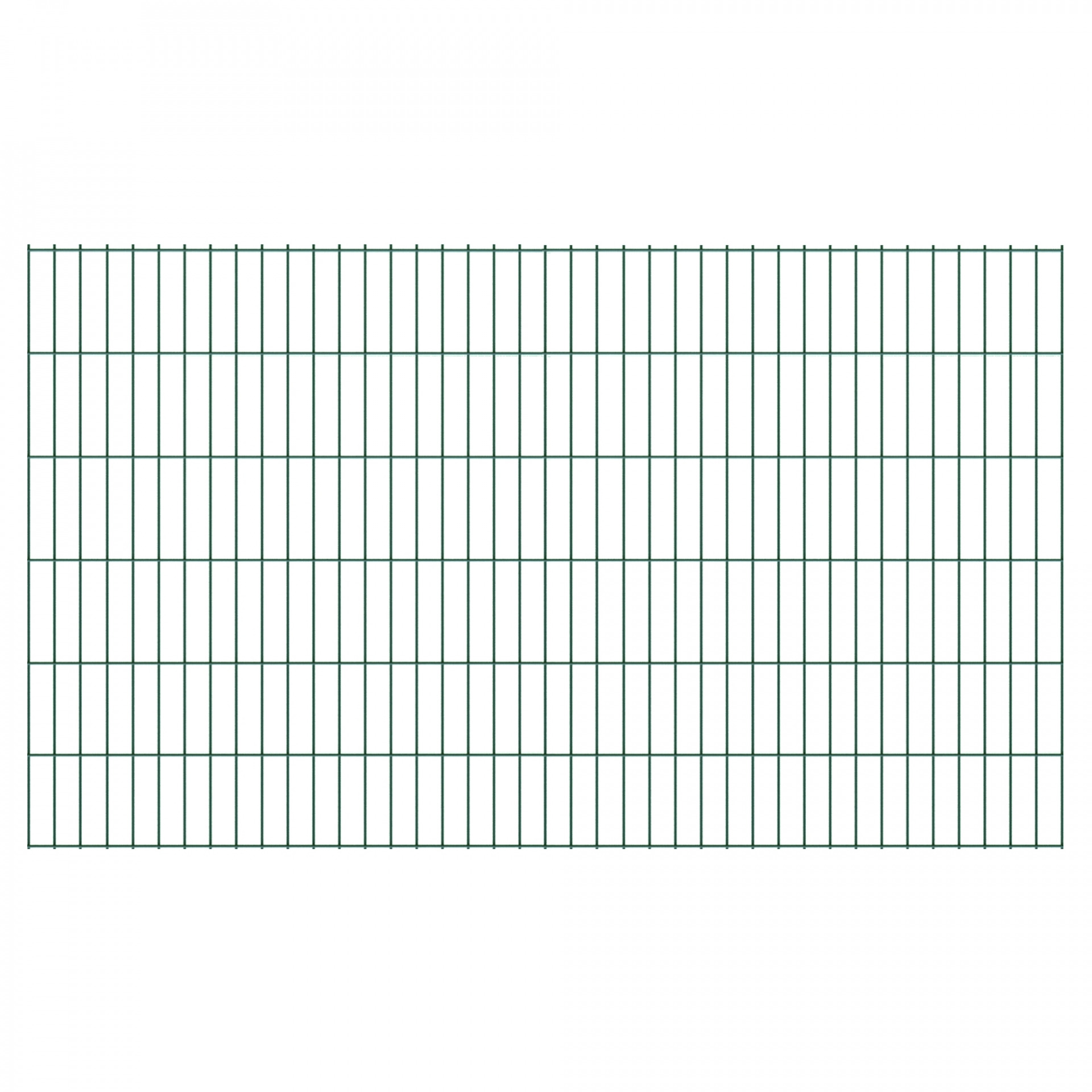BASIC Doppelstabmatte grün, 200 x 120 cm, RAL 6005,, Stäbe 6/5/6, MW 50/200 mm