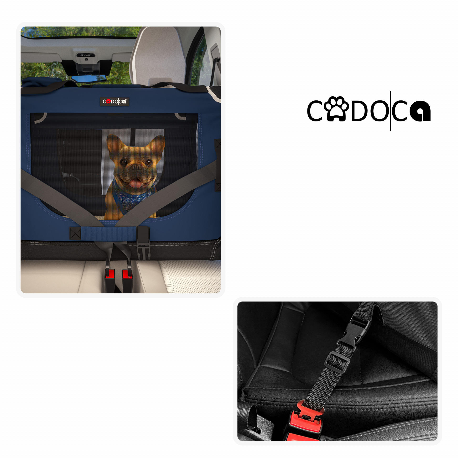 Hundebox faltbar XL 82x58x58cm Blau