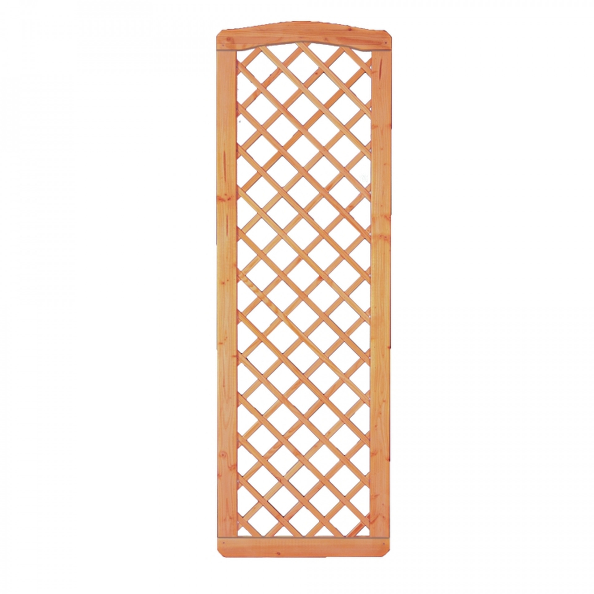 CLASSICO-Serie Krone-Ranki Abschluß, 60 x 180/183 cm, Lärche/ Douglasie, Rahmen 40/68 mm, Rankstäbe 20/20 mm