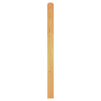 DAAN-Serie Lamelle 20er Set, 20 x 145 x 1800 mm, kdi grün, Kopf gerundet